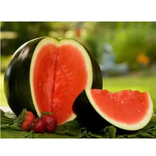 MayFord - Watermelon Seed - Sugar Baby -5g