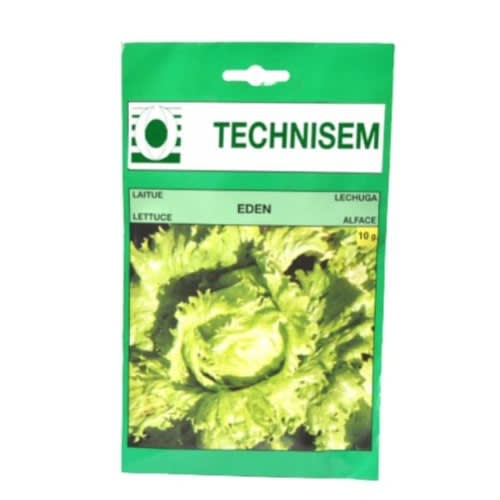Technisem Hybrid Eden Lettuce Seeds (iceberg) - 10g