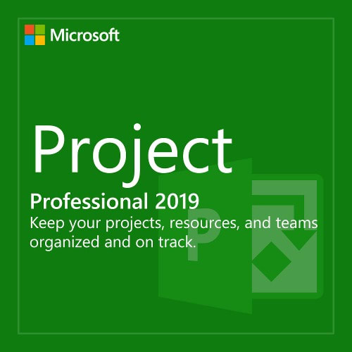 Project 2019 Professional Plus