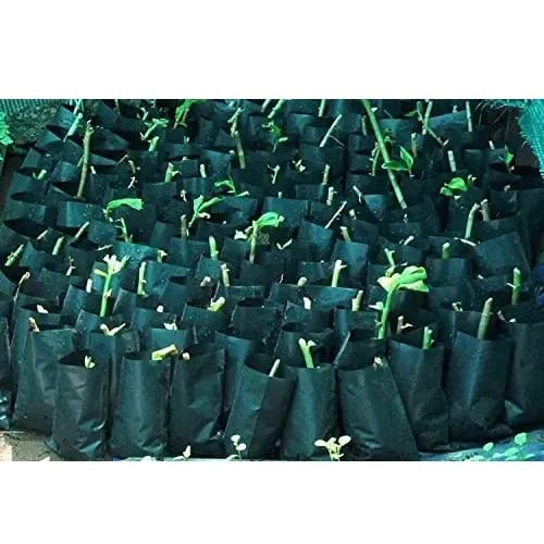 Grow Plant Nursery Bags (6x8 Inches) - Pack Of 500 Pieces