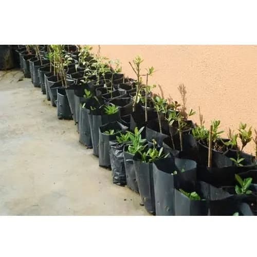 Grow Plant Nursery Bags (8x12 Inches) - 500 Pieces