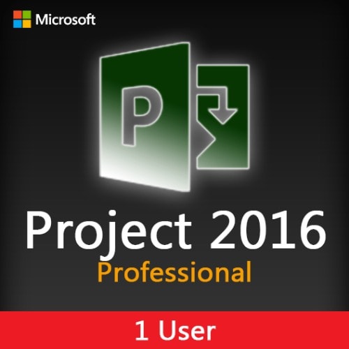 Project 2016 Professional- Lifetime License