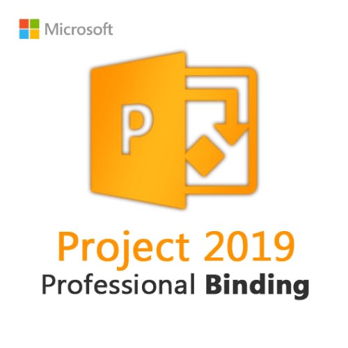 Project 2019 Professional- 1 User Account Binding