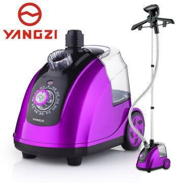 Professional Garment Steamer - Facial And Cake Steaming Machine -1800W