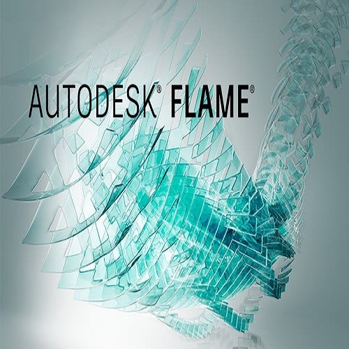 Autodesk Flame 2020
