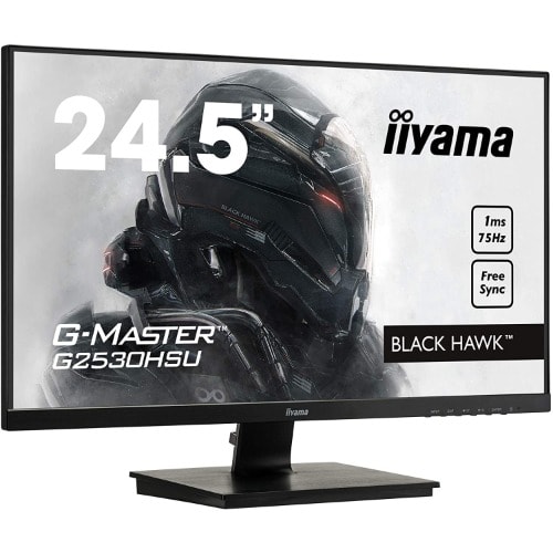 G-master G2530hsu-b1 24.5