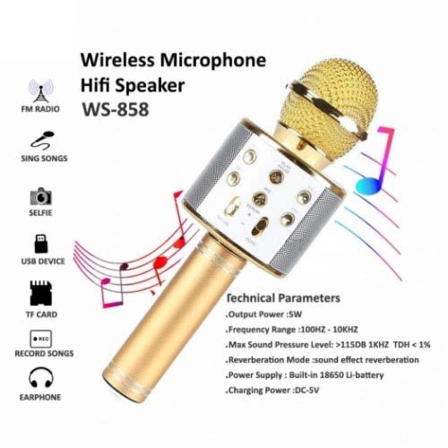 Wireless Bluetooth Karaoke Microphone Hifi Speaker