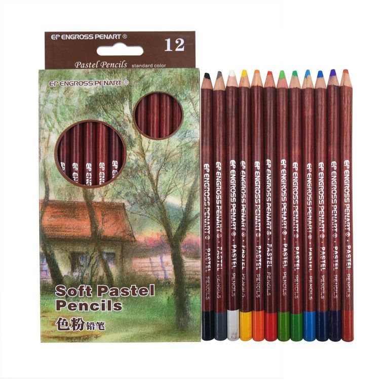 Artist 12 Professional Soft Pastel Pencils Sketch Lapis De