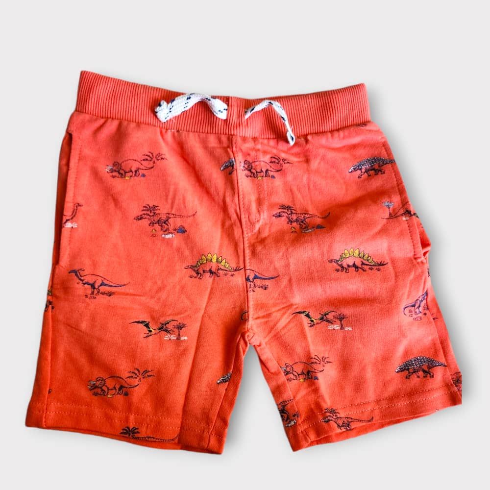 Character Print Boy Short