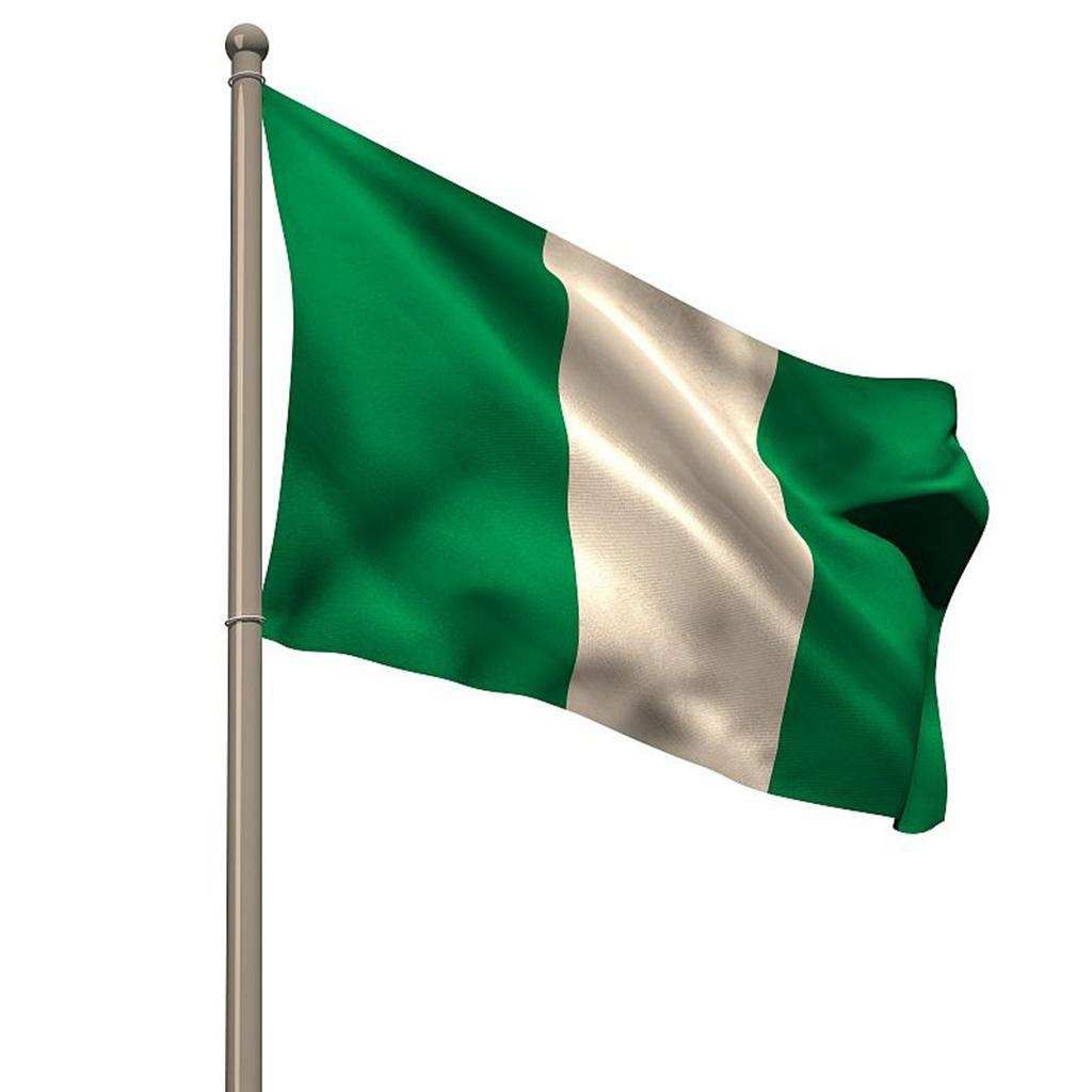 12pcs Nigeria Nigerian HAND WAVING FLAG Small BANNERS 8 X 5"  Nigeria
