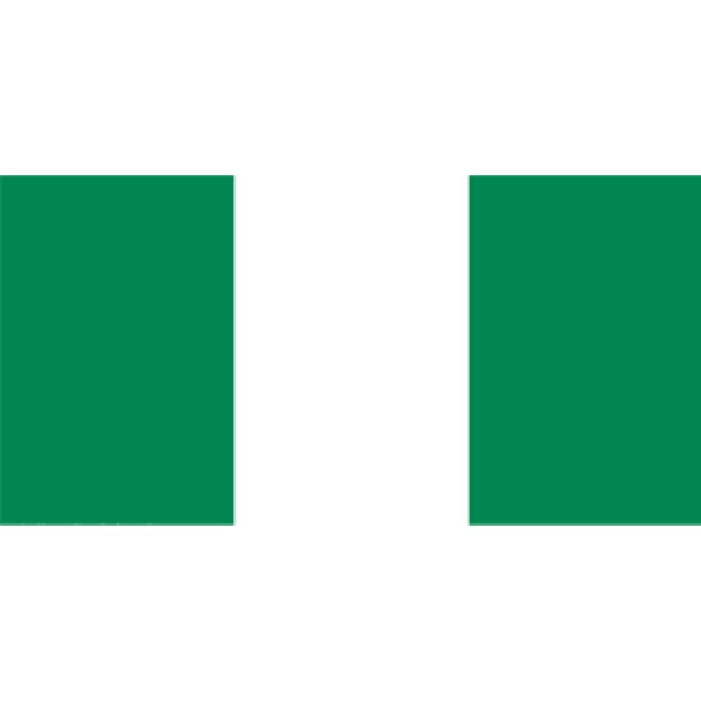 12pcs Nigeria Nigerian HAND WAVING FLAG Small BANNERS 8 X 5"  Nigeria