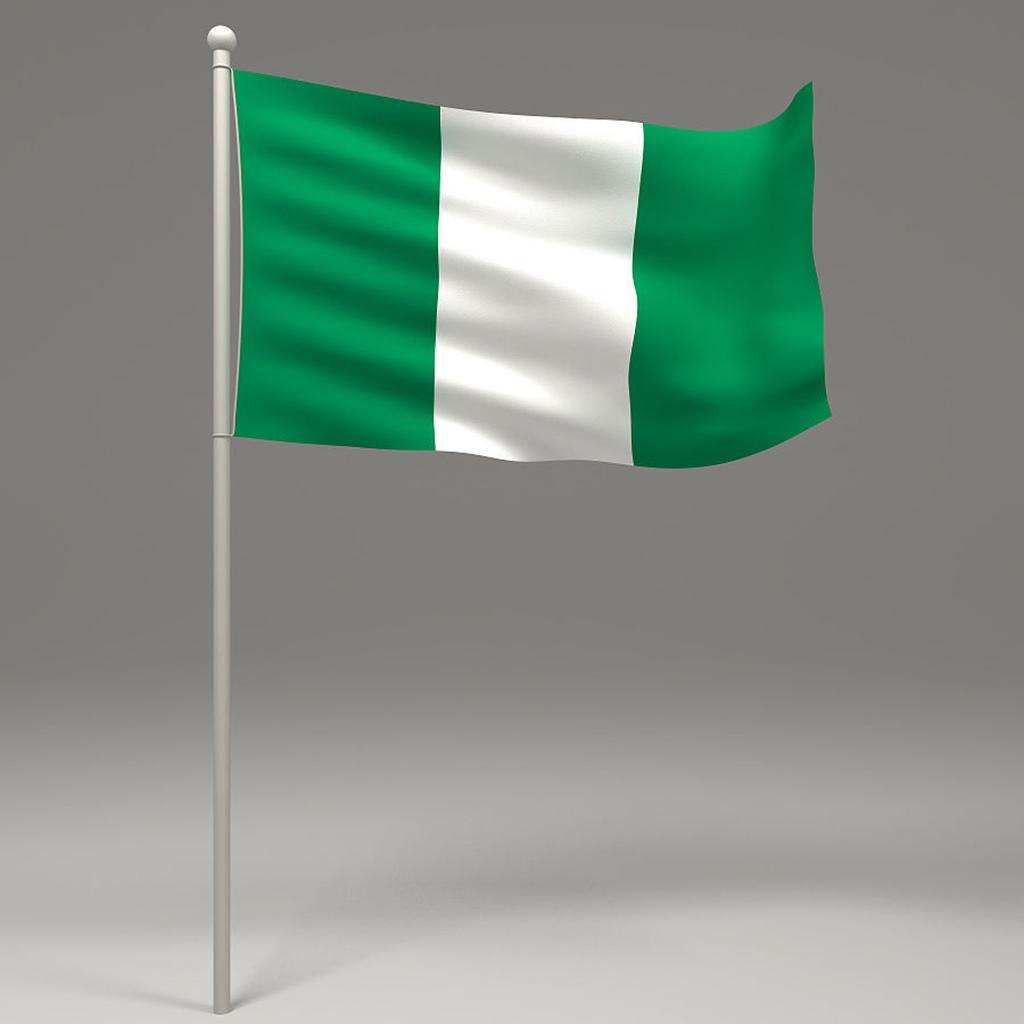 12pcs Nigeria Nigerian HAND WAVING FLAG Small BANNERS 8 X 5"  Nigeria