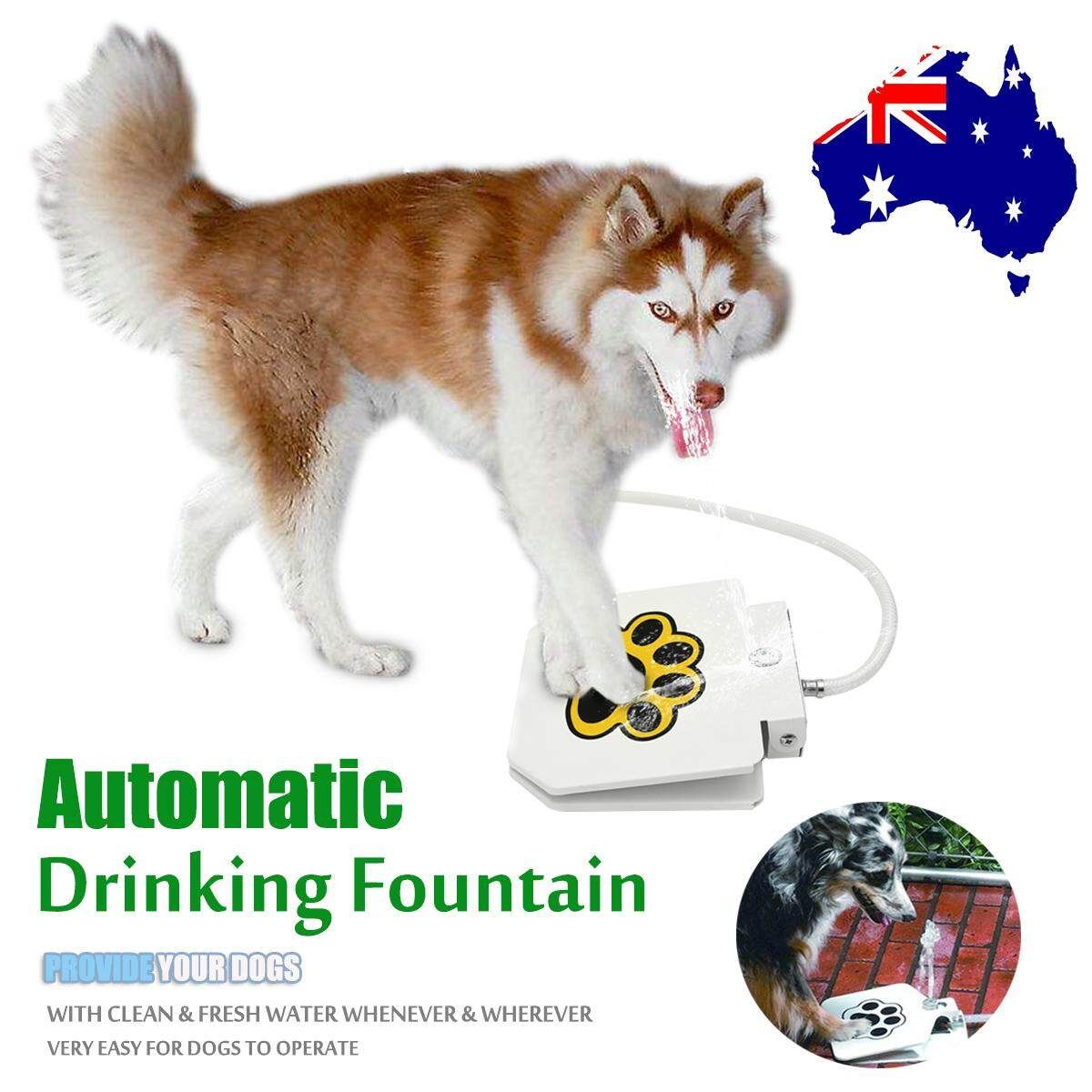 Automatic Doggie Water Fountain Dog Sprinkler Dispenser Paw Activated For Pets