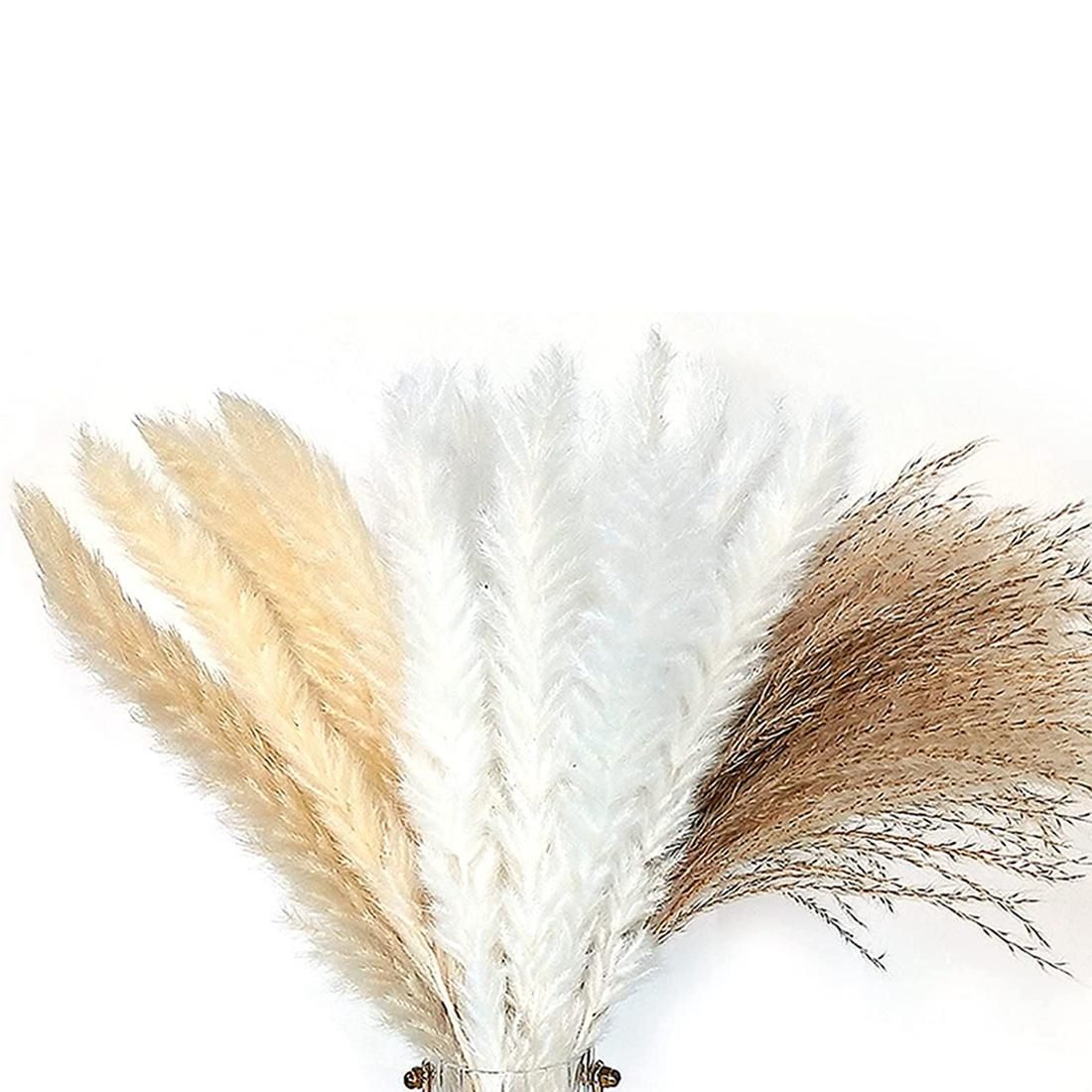 100 Pcs Pampas Grass for Flower Arrangements Home Decor
