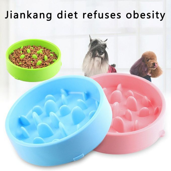 Food Leaker With Food  Atapult Design Transparent Granary Feeding Su Lies-white