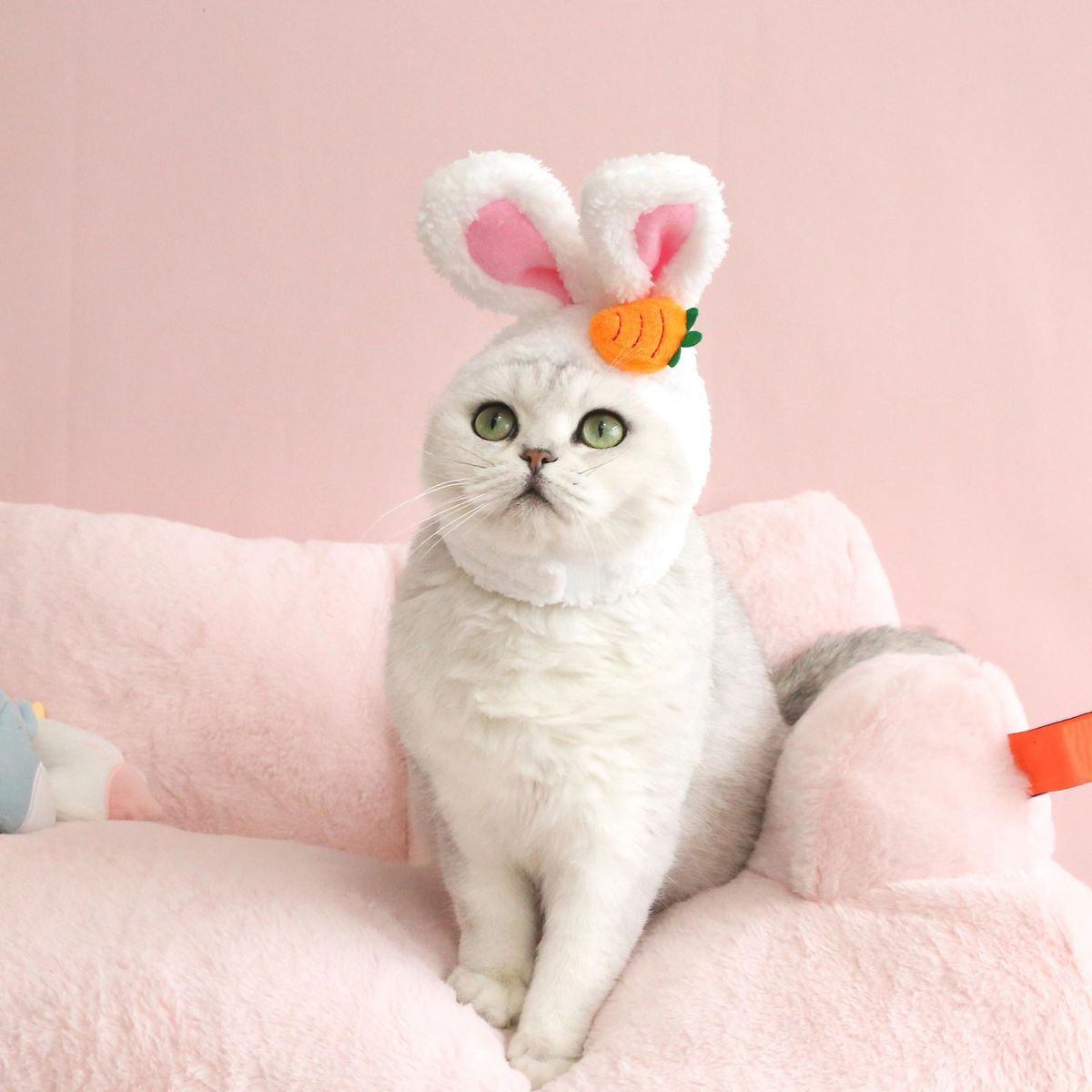 Pet Headwear Photo Props Headwear Carrot Bunny Pet Hat Orange
