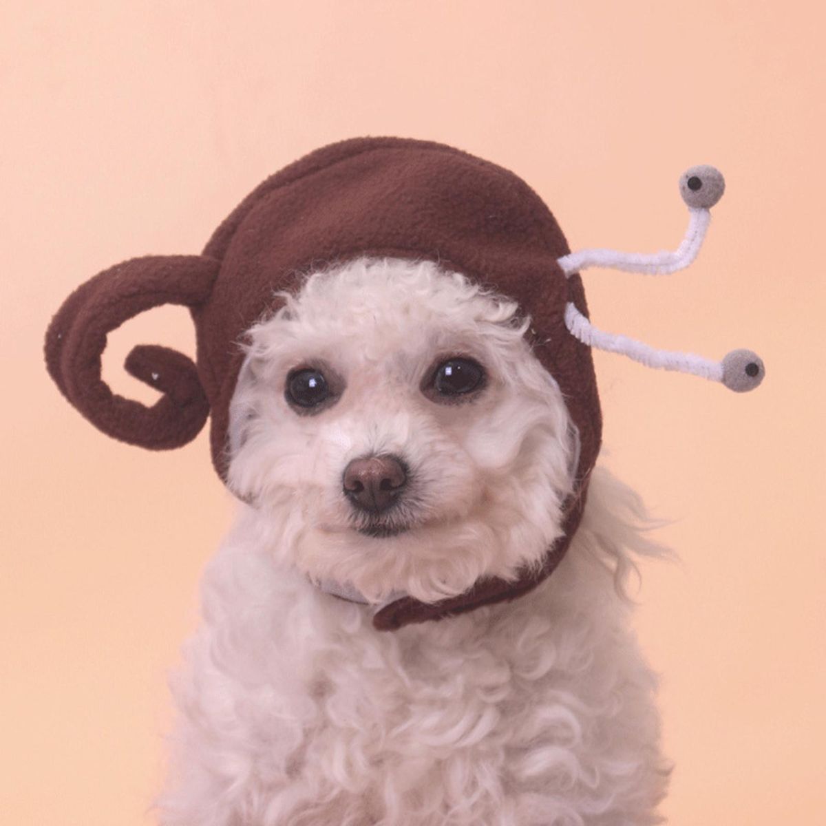 Cat Headgear Lovely Snail Shape Pet Cat Cross-dressing Hat Coffee