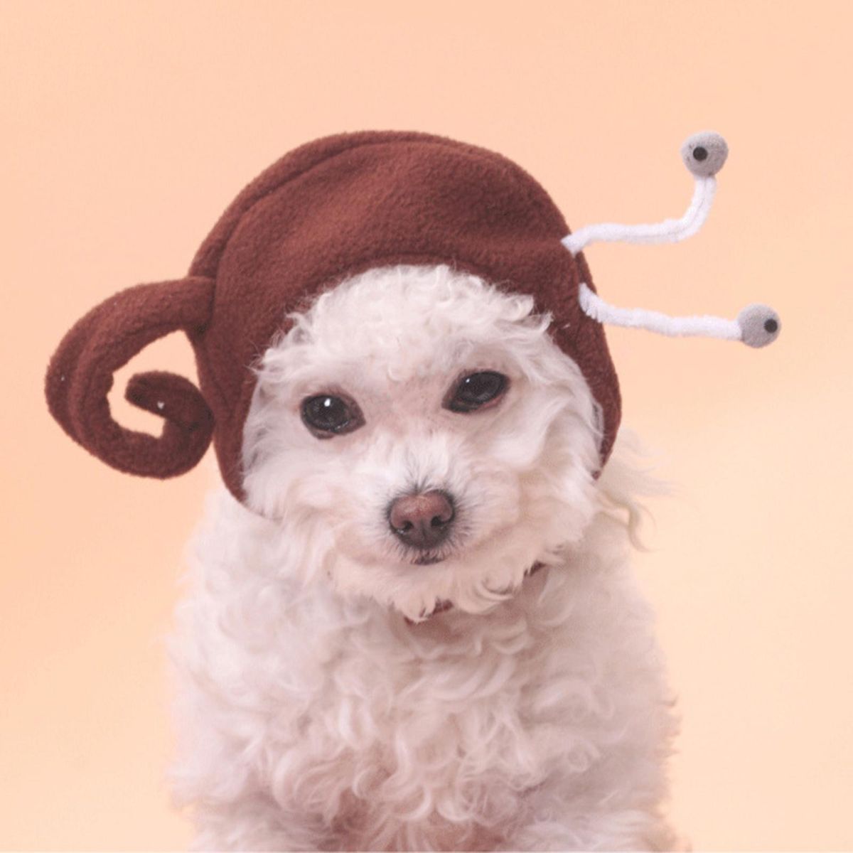 Cat Headgear Lovely Snail Shape Pet Cat Cross-dressing Hat Coffee