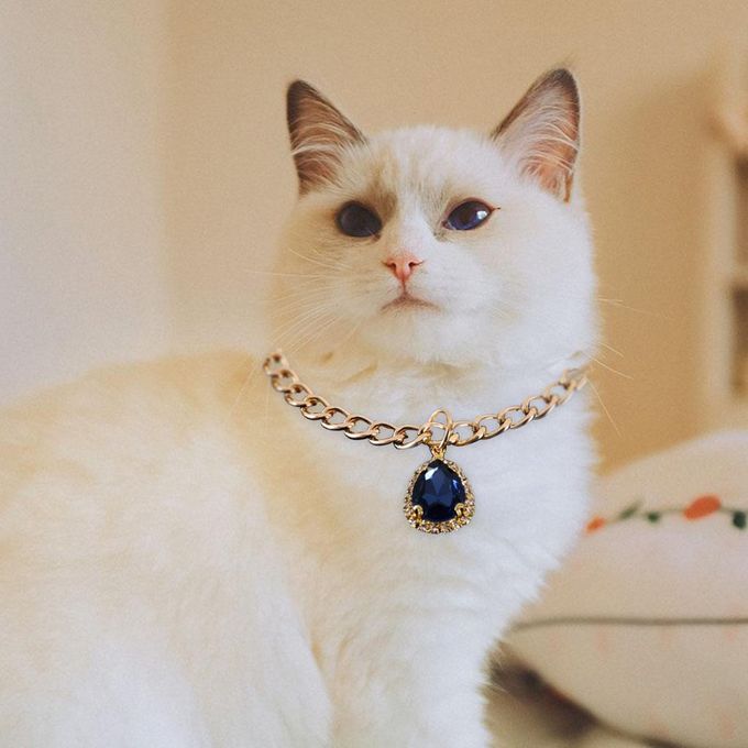 Pet Collar Charm Water Drop Pendant Animals Protection Necklace Blue
