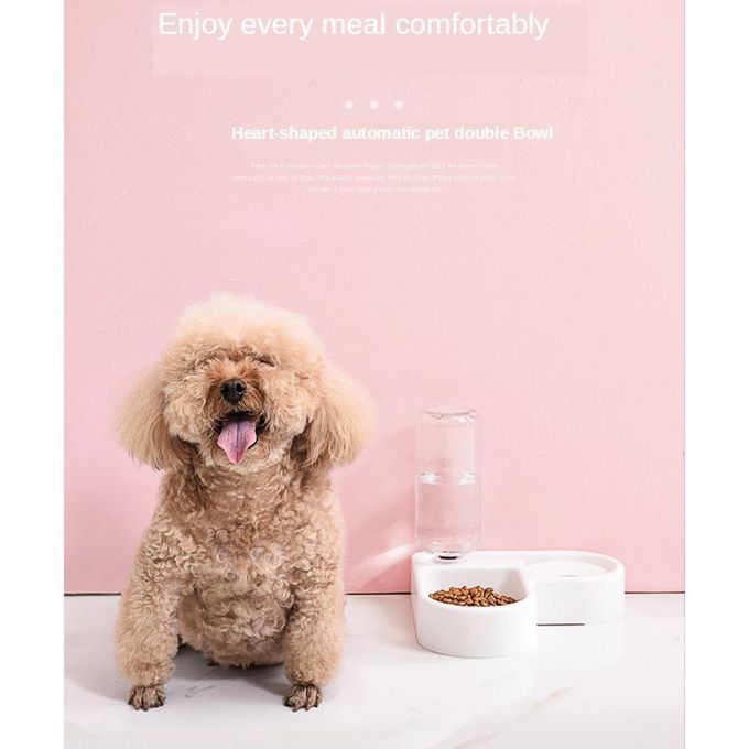 2-in-1 Automatic Pet Cats Dogs Feeder Bowl Double Pet Bowl Gravity