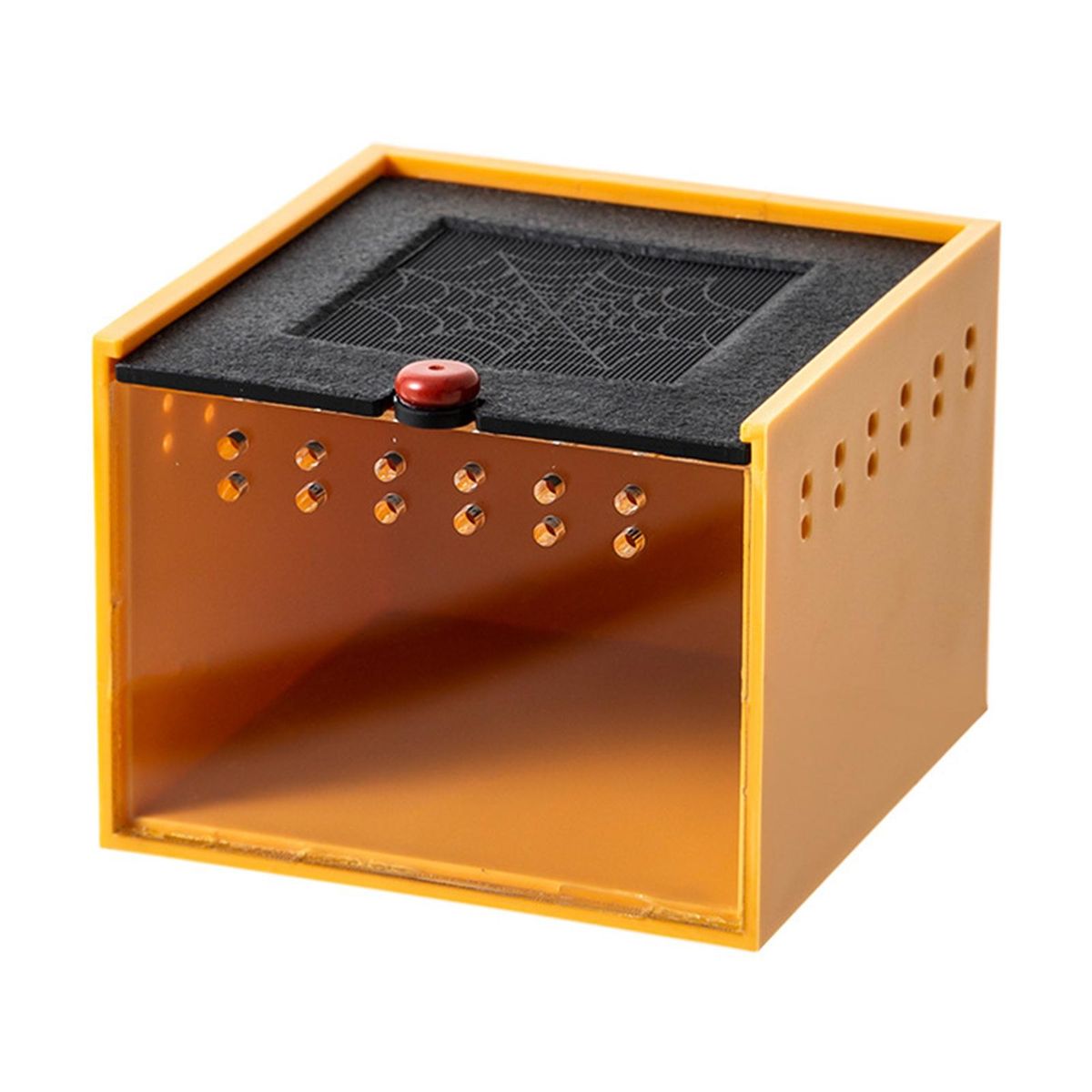 Scorpion Terrarium with Feeding Box Spider Haven View for Jumping Yellow