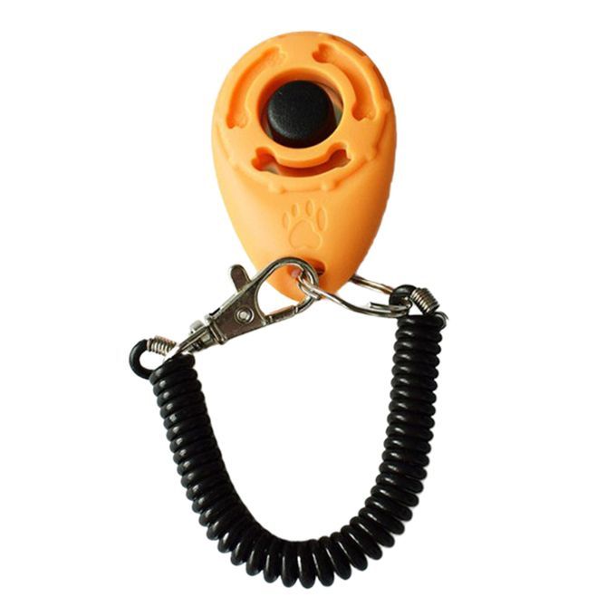 Puppy  Trainer Obedience  Wrist Is Introducing New Wearable Yellow