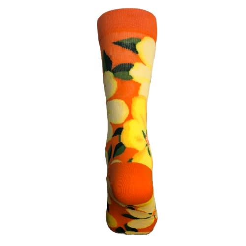 Pair Of Revicena Floral Zari Unisex Multicoloured Socks