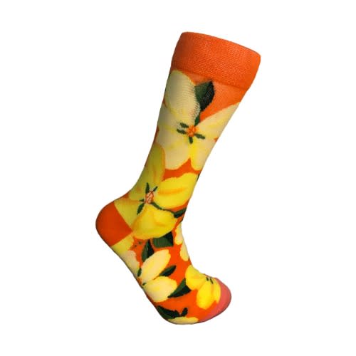 Pair Of Revicena Floral Zari Unisex Multicoloured Socks