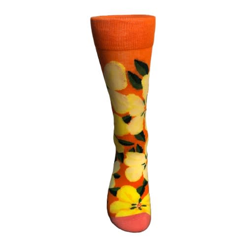 Pair Of Revicena Floral Zari Unisex Multicoloured Socks
