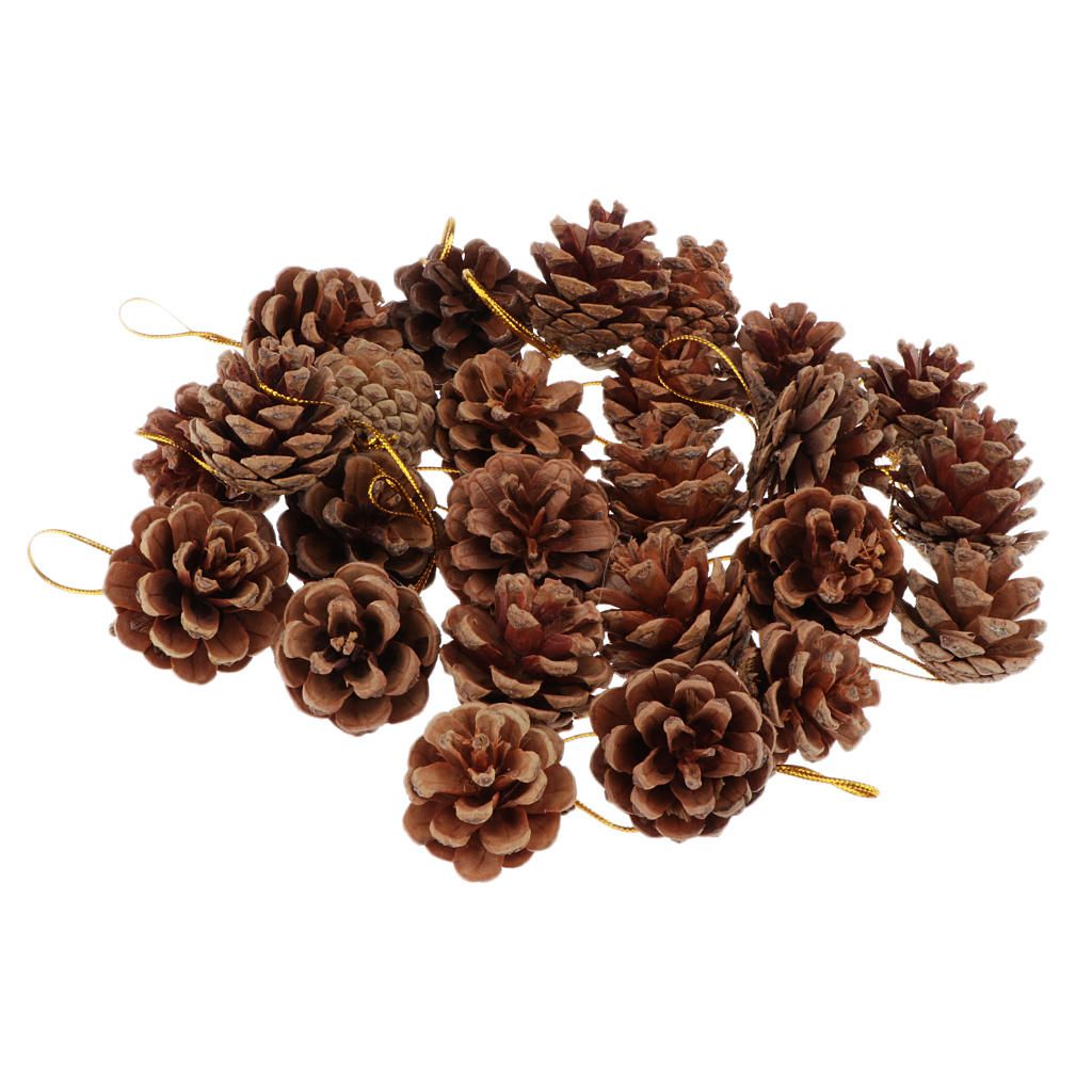 36Pcs , Rustic Pinecones Bulk Ornaments With String For F