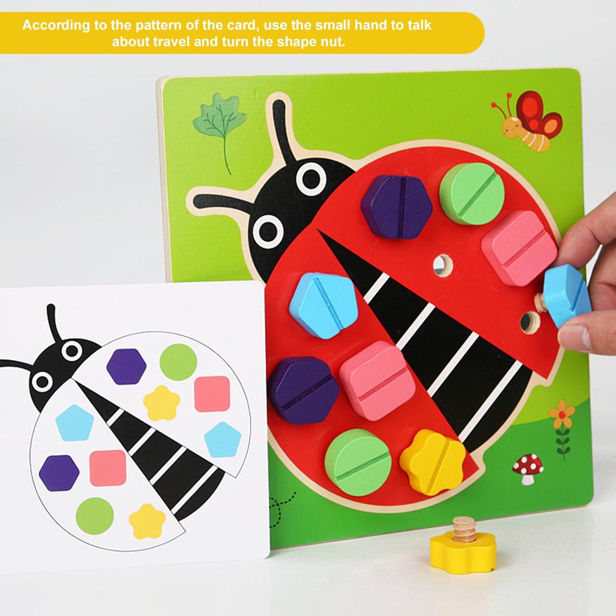 1 Set Fun Nut Game Fun Nut Pairing Toy Game