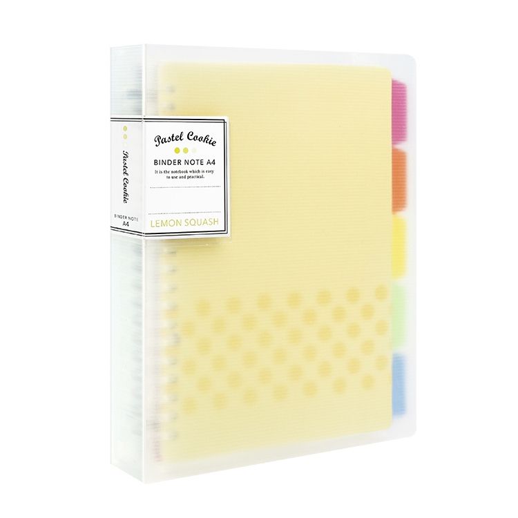 B5 Daily Plan Personal Diary Notebook