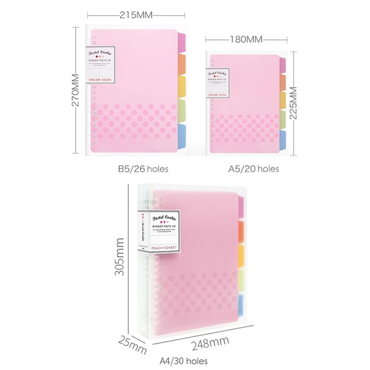 B5 Daily Plan Personal Diary Notebook