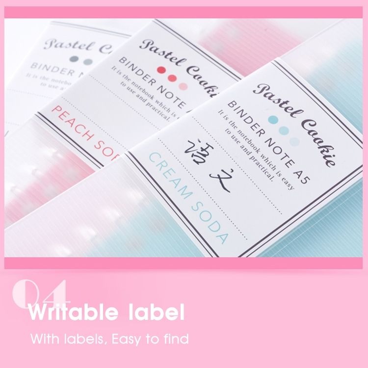 B5 Daily Plan Personal Diary Notebook