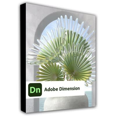 Dimension Cc 2022