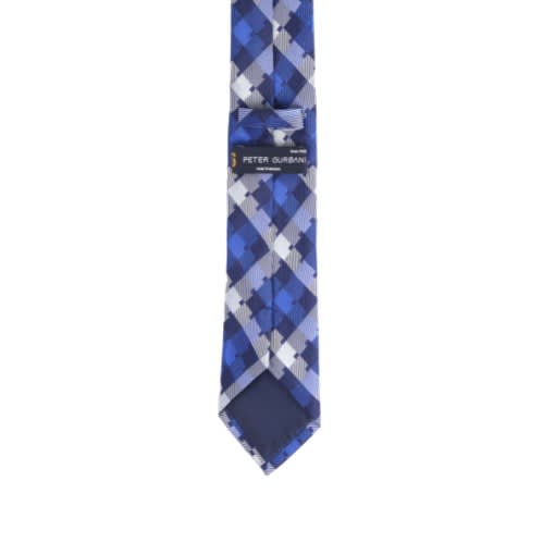 White & Blue Checks Silk Tie