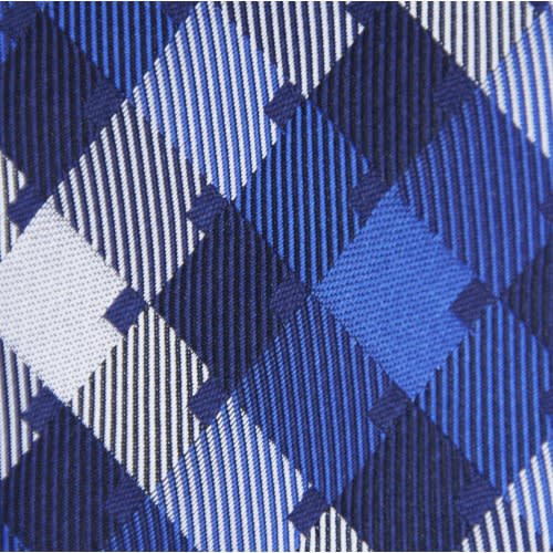 White & Blue Checks Silk Tie