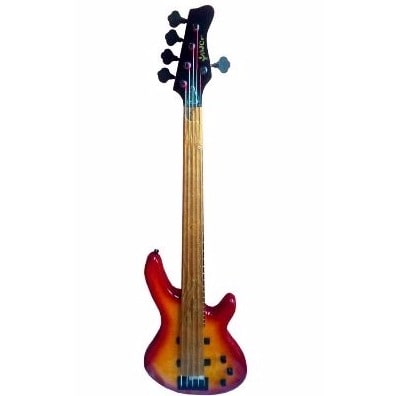 5 Strings Bass Guitar With Bag & Stand