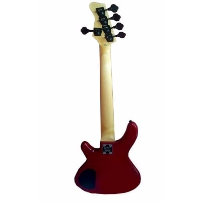 5 Strings Bass Guitar With Bag & Stand