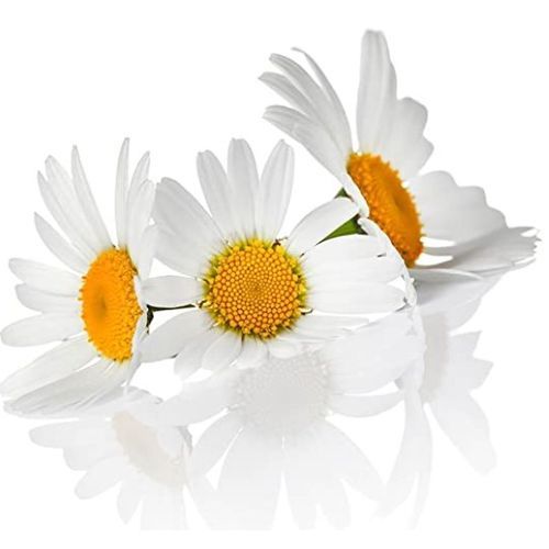 Chamomile Dried Flowers 50g 100% Pure And Organic