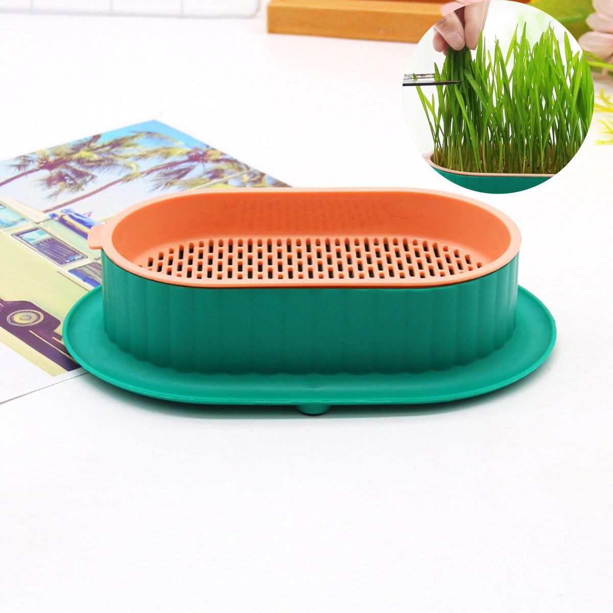 Seed Tray Cats  For Seedling Planting Green Orange