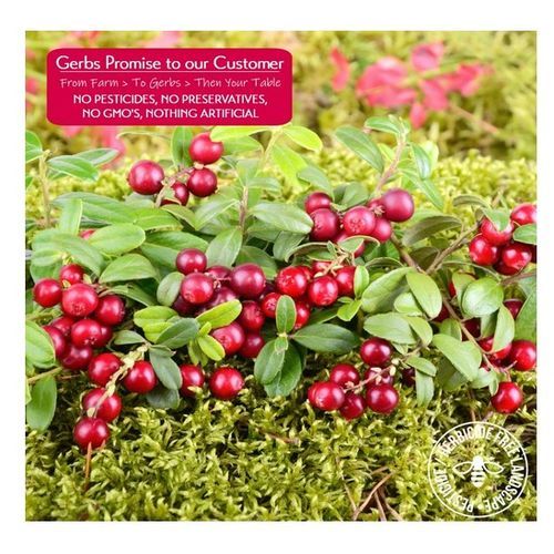 Cranberries 32 Oz 2 Lbs Dried Cape Cod