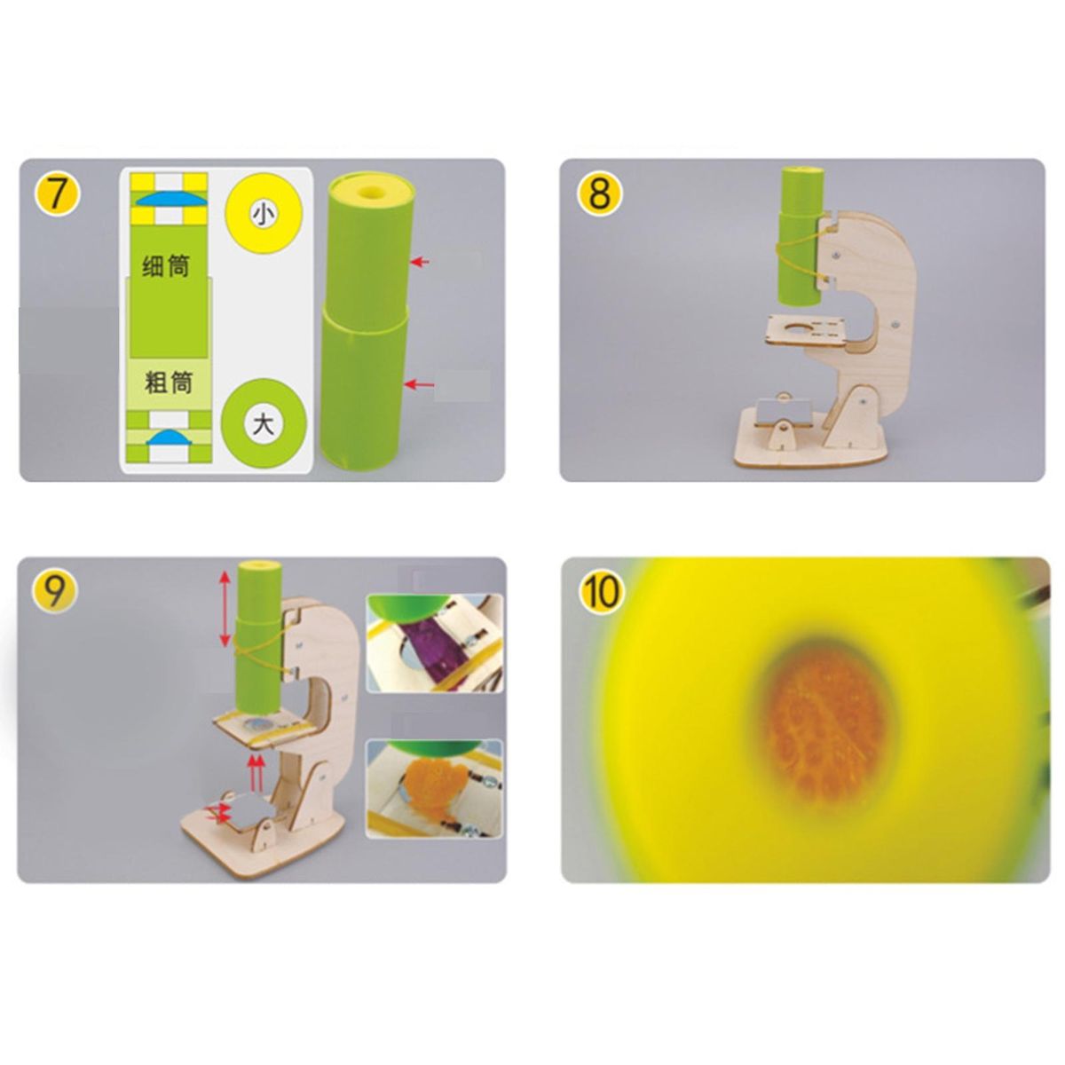 1 Set Educational Elementary School Science Toys