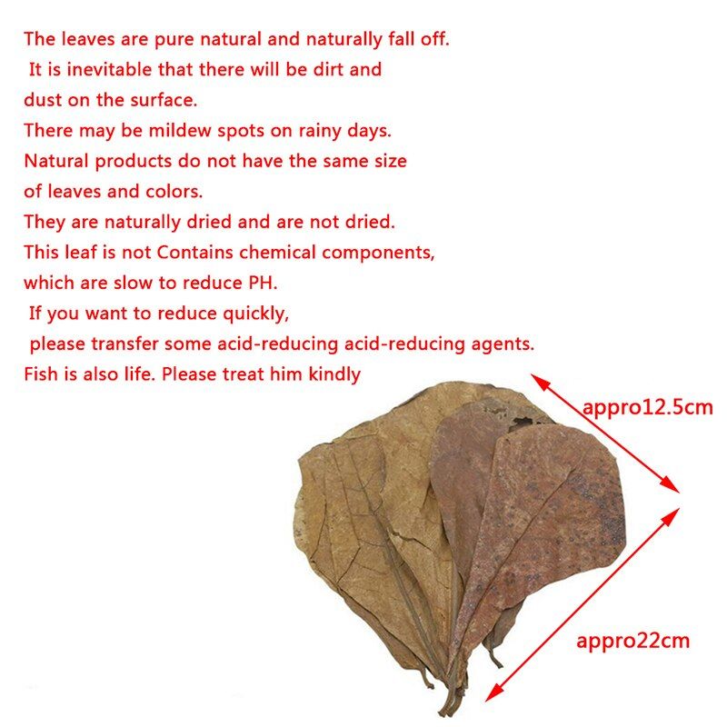 20pcs Natural Terminalia Catappa Foetida Leaves Island Almond Leaf Fish Treatment Cleaning Aquarium Tank Water Lower PH