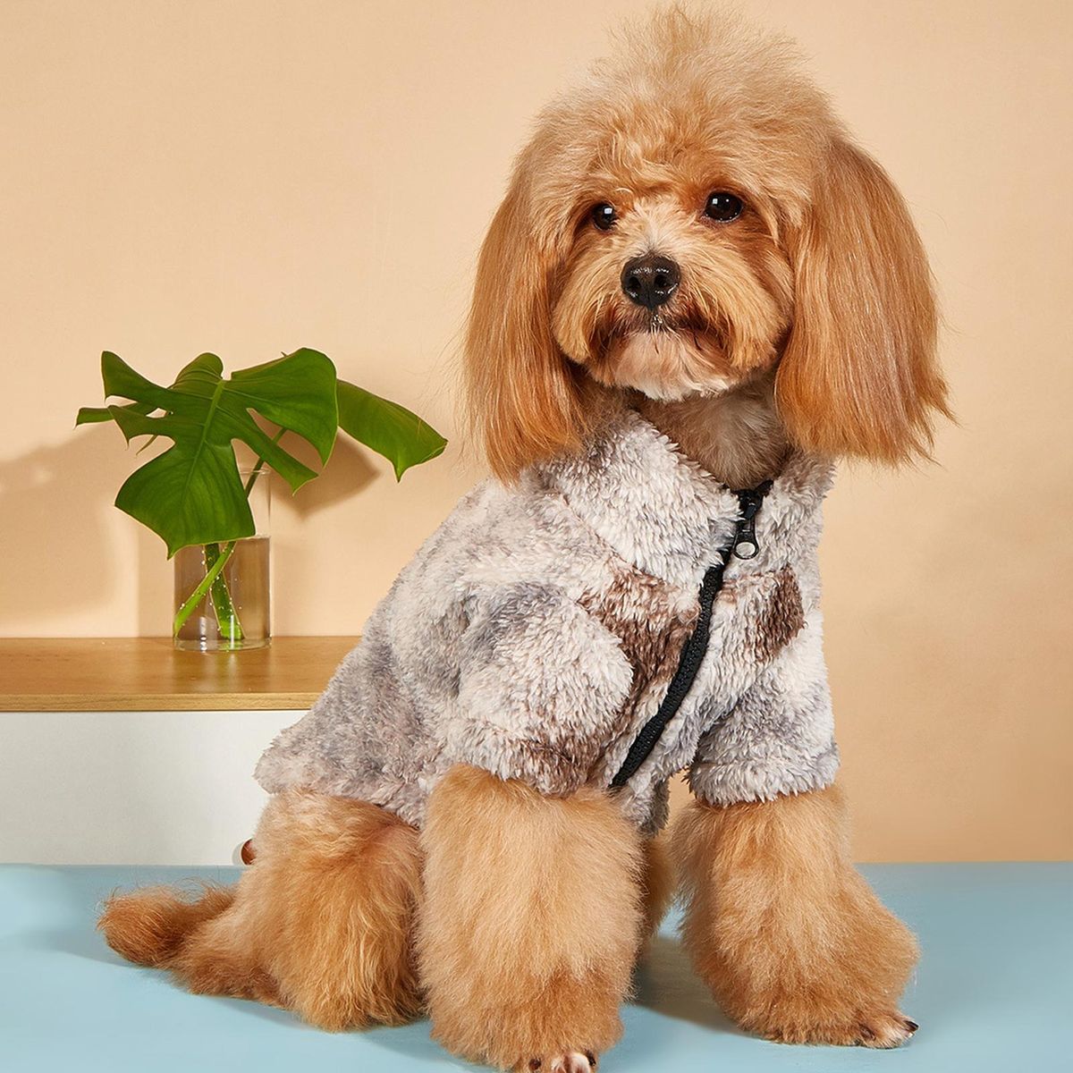 Pet Winter Clothing Dog Cat Two-legged Plush Outerwear Pet Clothes Beige