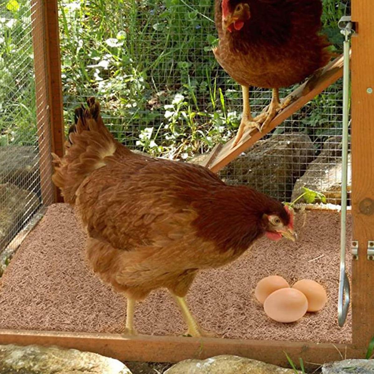 610Pcs Hen Nesting Pad Hen Duck Nesting Pad