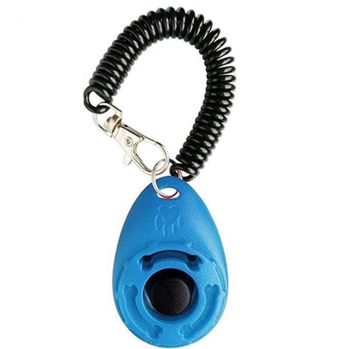 Puppy  Trainer Obedience  Wrist Is Introducing New Light Blue
