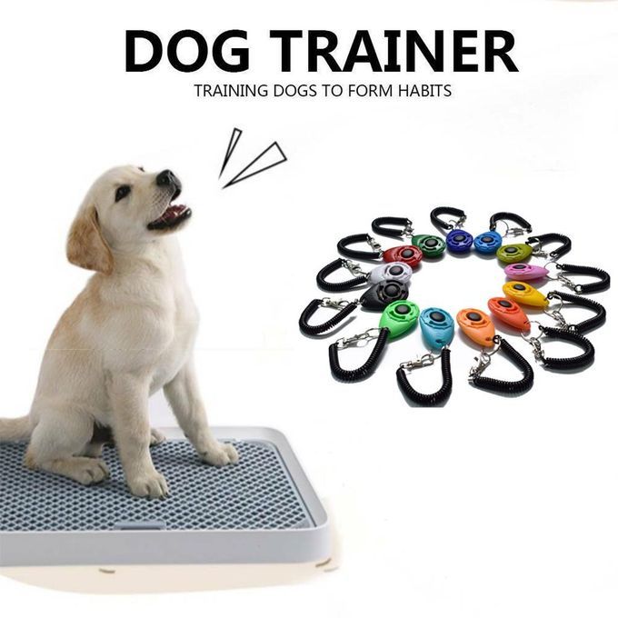 Puppy  Trainer Obedience  Wrist Is Introducing New Light Blue