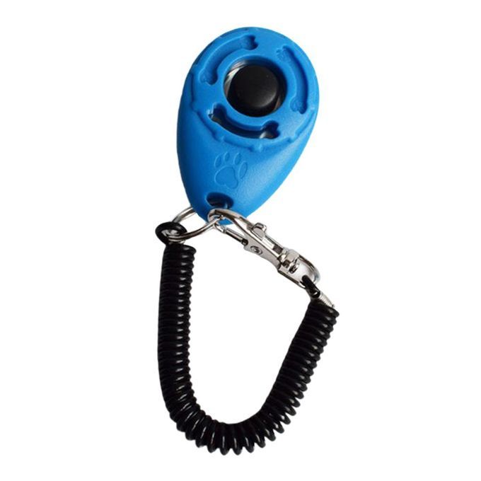 Puppy  Trainer Obedience  Wrist Is Introducing New Light Blue