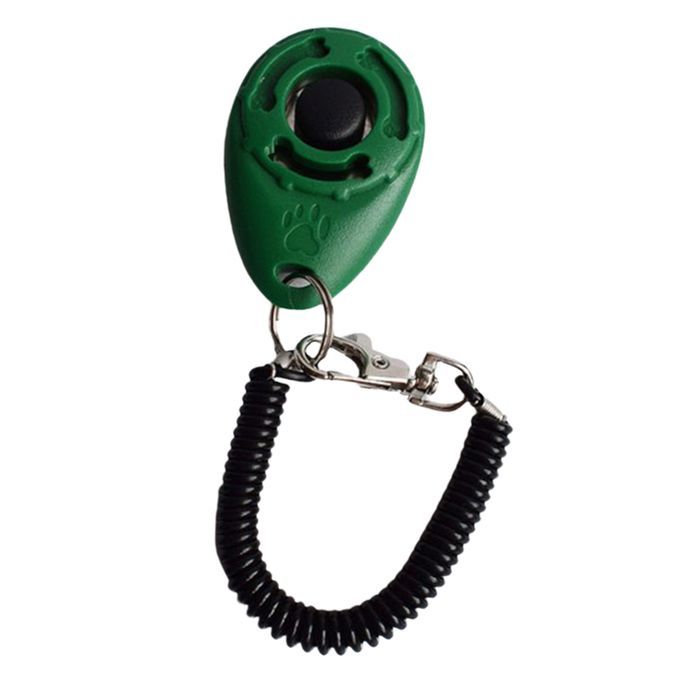 Puppy  Trainer Obedience  Wrist Is Introducing New Wearable Green